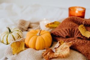 Small Pumpkin on a Knitted Textile