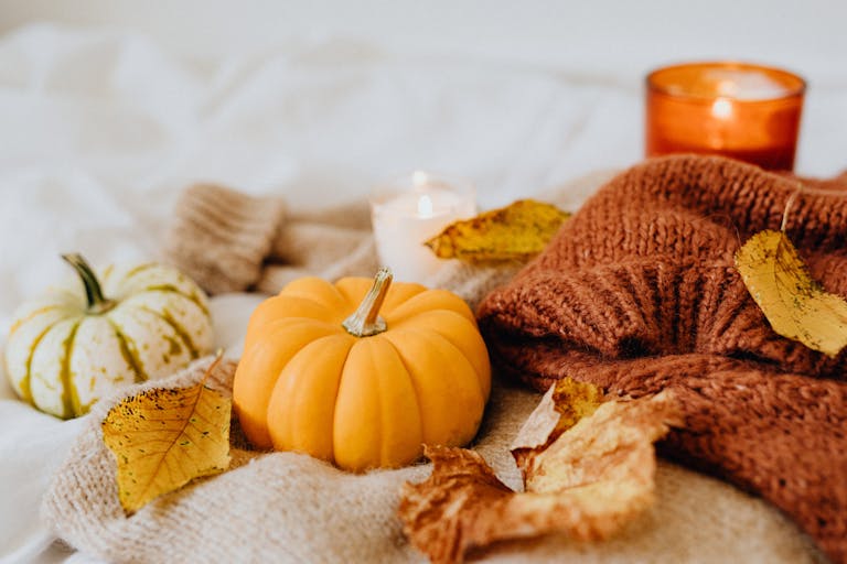 Small Pumpkin on a Knitted Textile